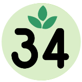 34 plantes - véthophylum
