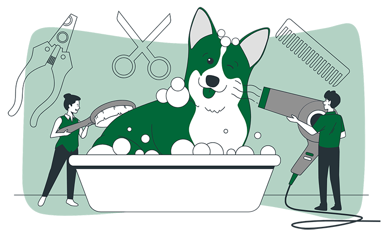 Illustration d’un chiot qui prend un bain et dont on prend soin.