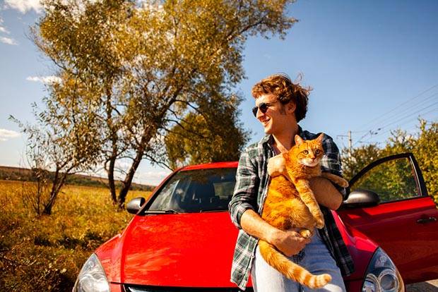 Vetophylum - voyager avec son chat - un homme tient son chat dans ses bras pour faire une pause nécessaire sur la route
